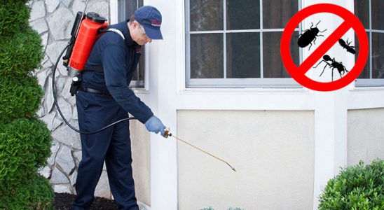 Sincik Kene İlaçlama böcek ilaçlama ve haşere kontrolü — ilaclama-tr.com